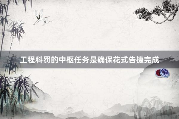 工程科罚的中枢任务是确保花式告捷完成