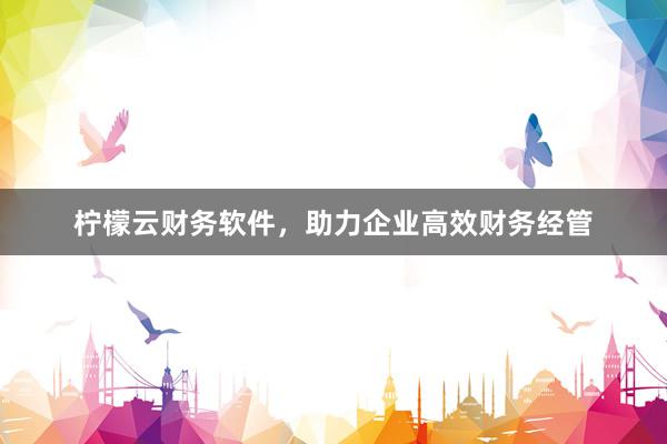 柠檬云财务软件，助力企业高效财务经管