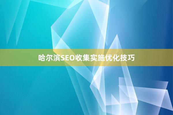 哈尔滨SEO收集实施优化技巧