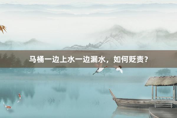马桶一边上水一边漏水，如何贬责？